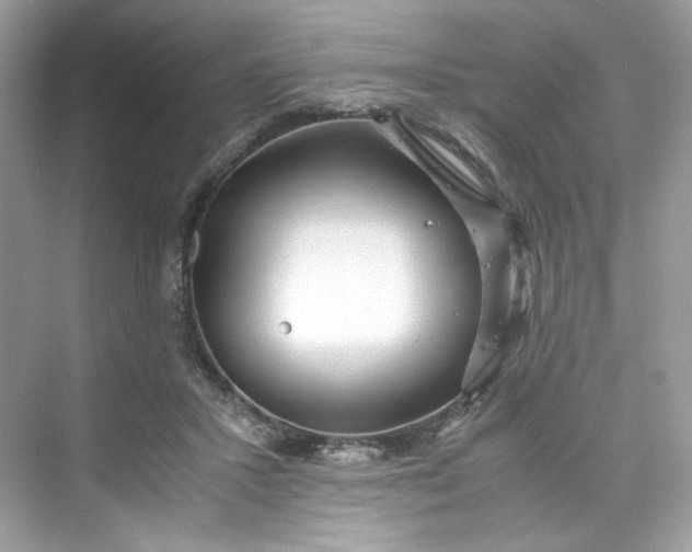 X0000075840407200609291443