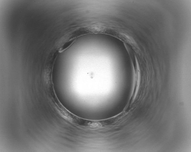 X0000075840409200609291443