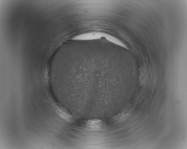 X0000075840410200609291443