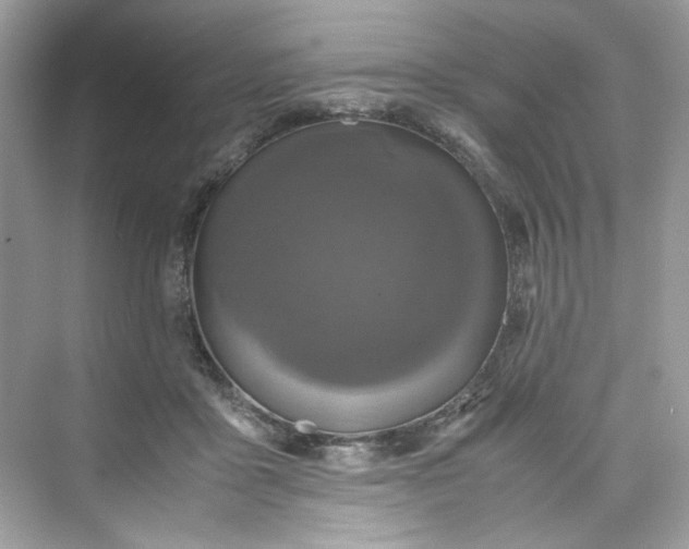 X0000075840411200609291443