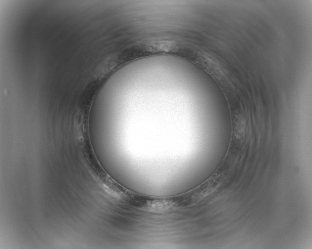 X0000075840414200609291443