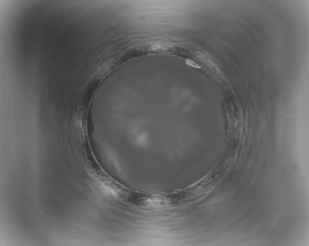 X0000075840415200609291443