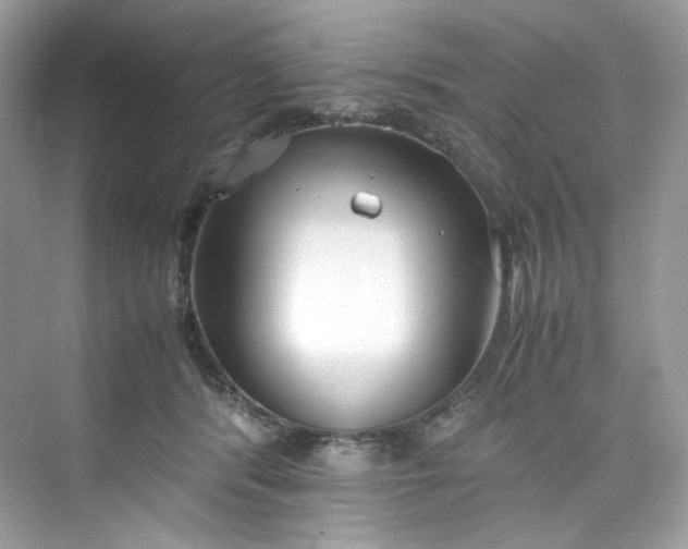 X0000075840416200609291443