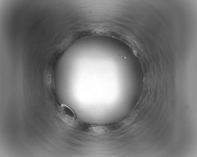 X0000075840417200609291443