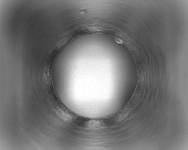 X0000075840418200609291443