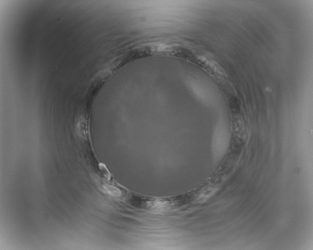 X0000075840419200609291443