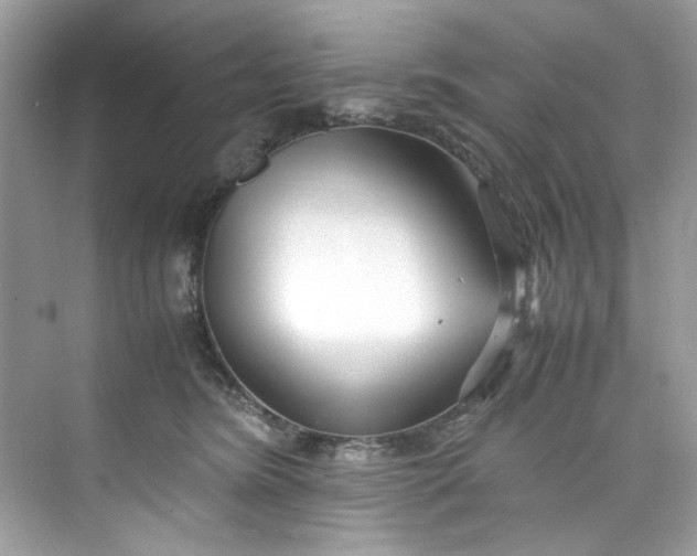 X0000075840420200609291443