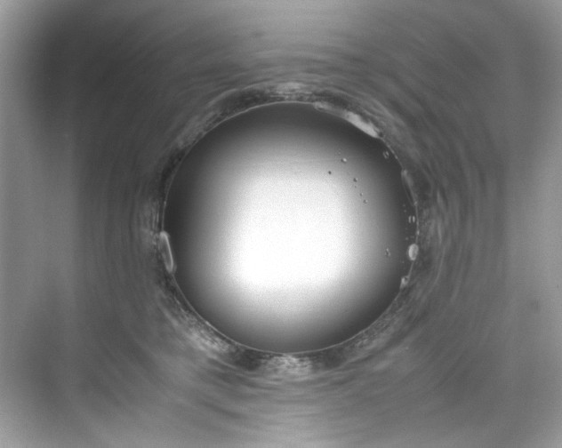 X0000075840421200609291443