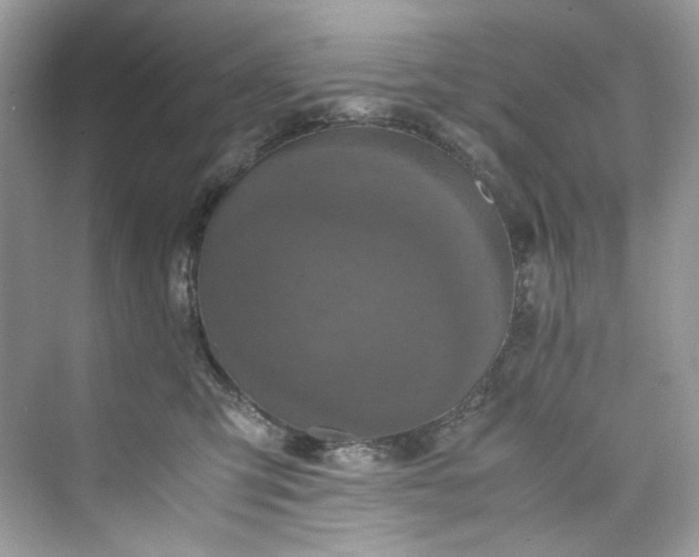 X0000075840423200609291443