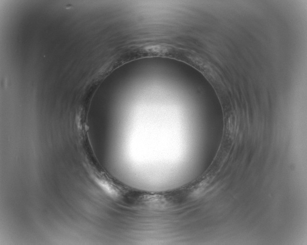 X0000075840424200609291442