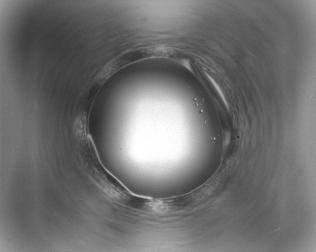 X0000075840425200609291442