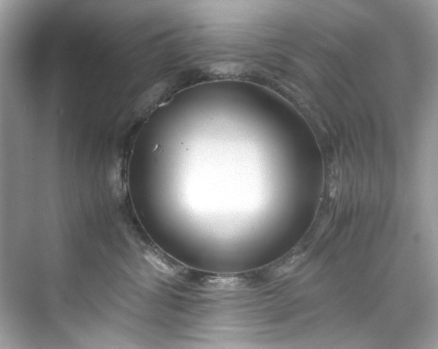 X0000075840428200609291442