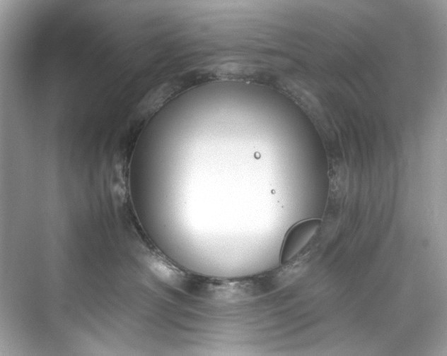 X0000075840430200609291442