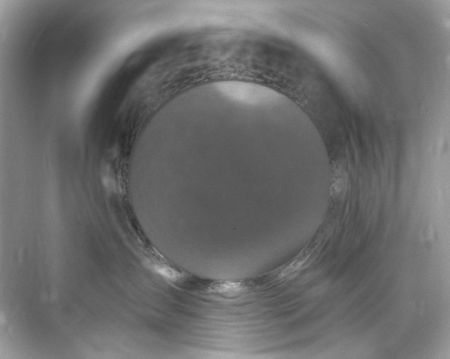 X0000075840431200609291442