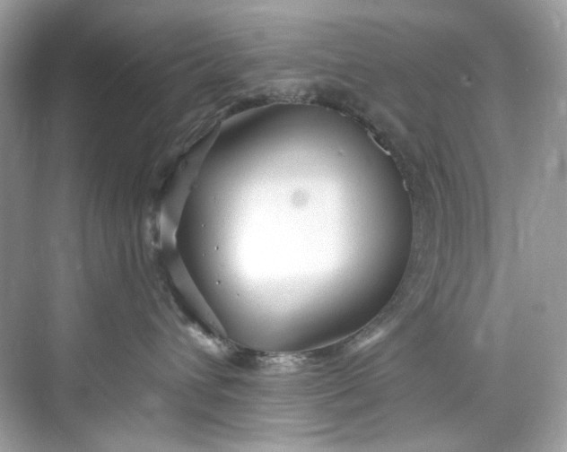 X0000075840432200609291442