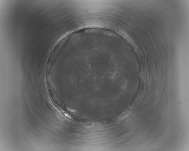 X0000075840434200609291442