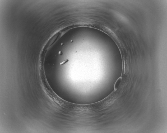 X0000075840435200609291442