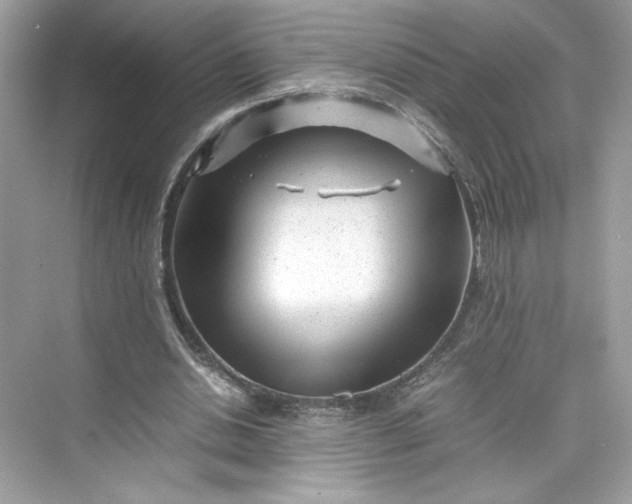 X0000075840438200609291442