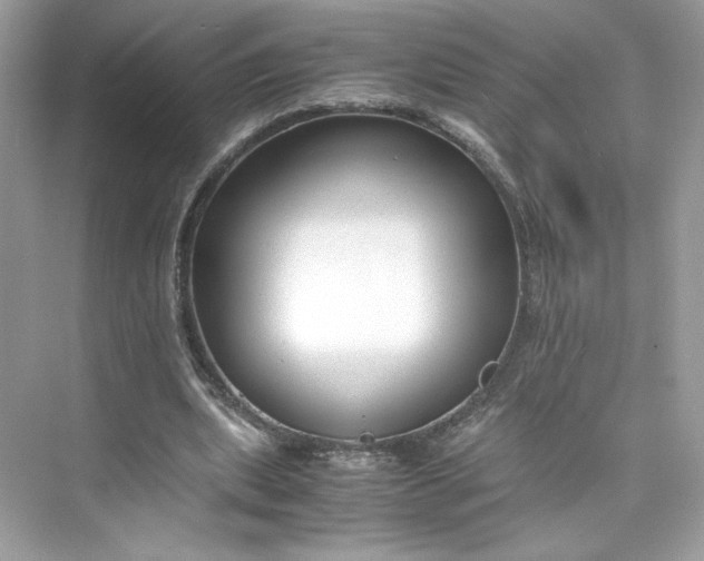 X0000075840439200609291442