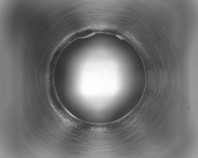 X0000075840440200609291442