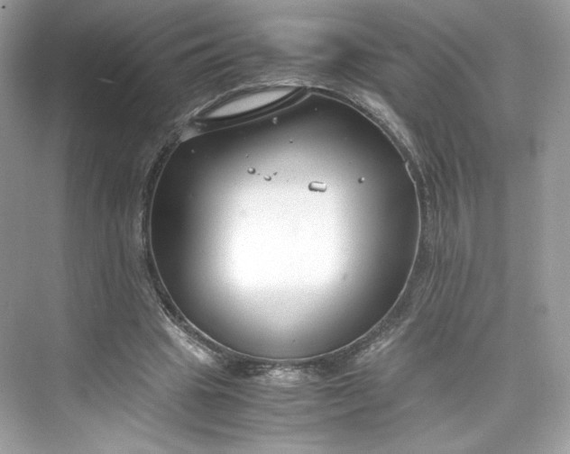 X0000075840441200609291442