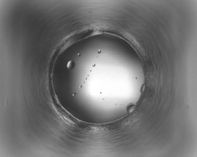 X0000075840442200609291442