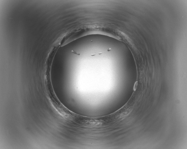 X0000075840443200609291442