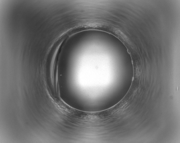 X0000075840444200609291442