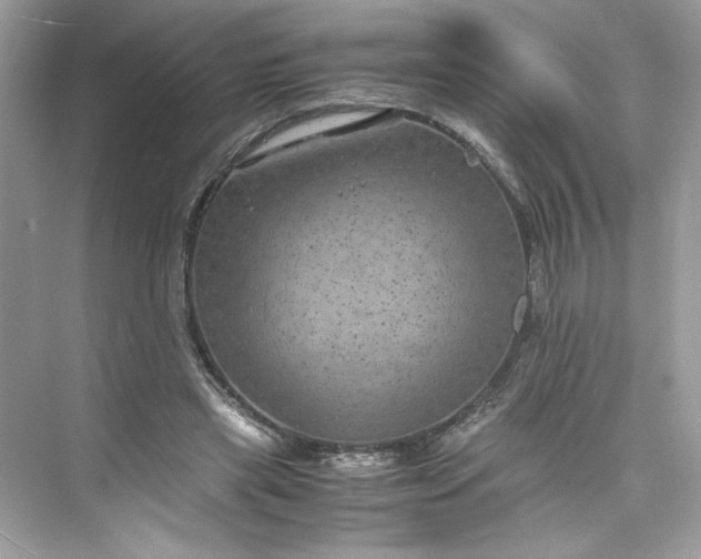 X0000075840445200609291442