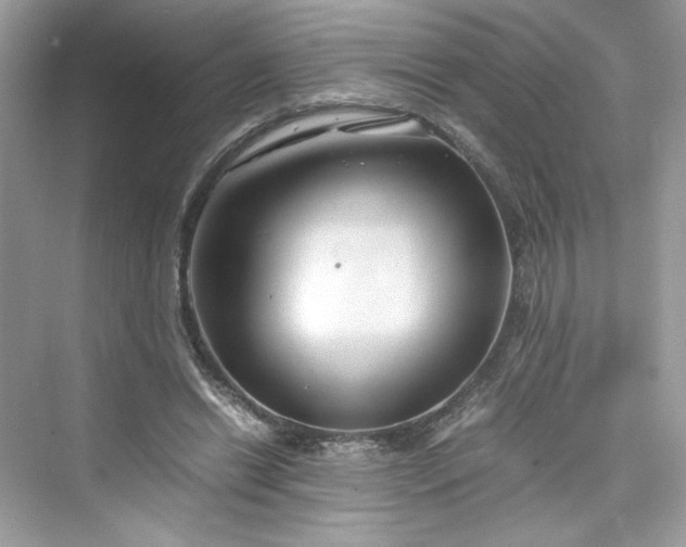 X0000075840446200609291442