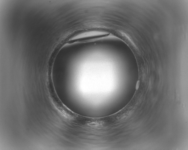 X0000075840447200609291442