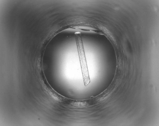 X0000075840449200609291442