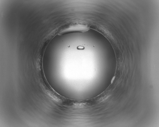 X0000075840450200609291442