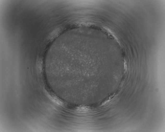 X0000075840451200609291442