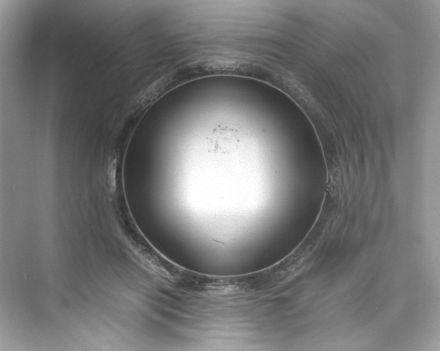 X0000075840454200609291442