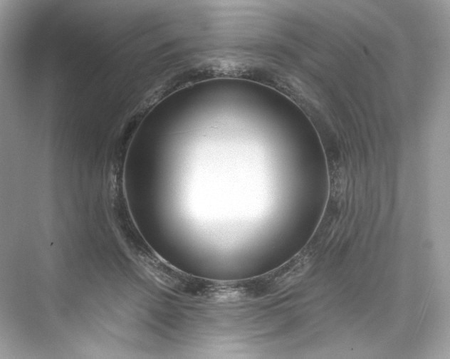 X0000075840456200609291442