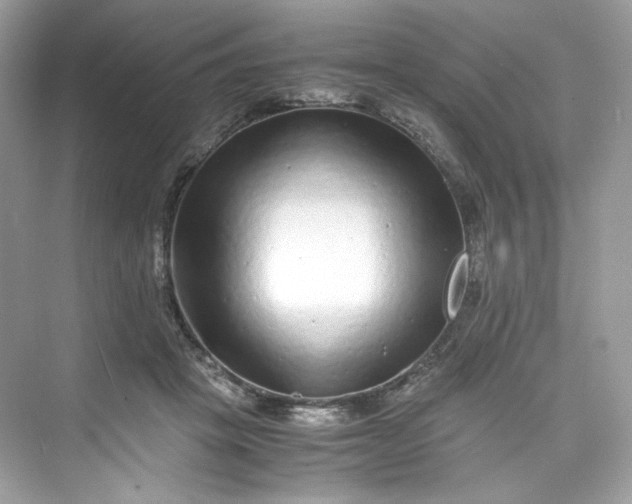 X0000075840457200609291442