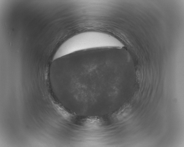 X0000075840458200609291442