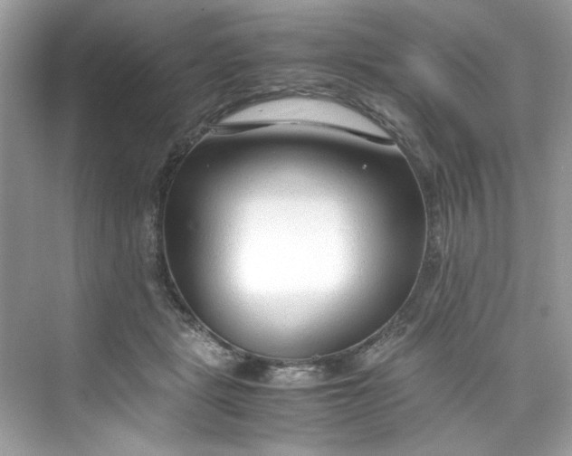 X0000075840461200609291442