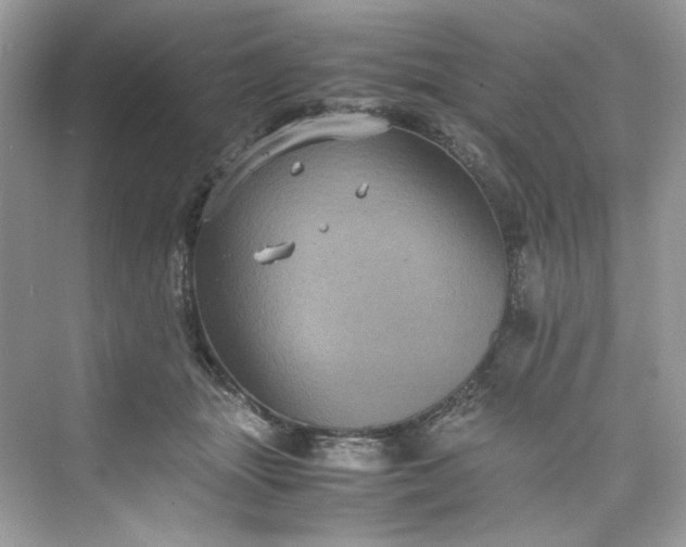 X0000075840463200609291442