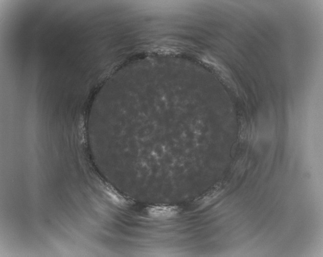 X0000075840465200609291442