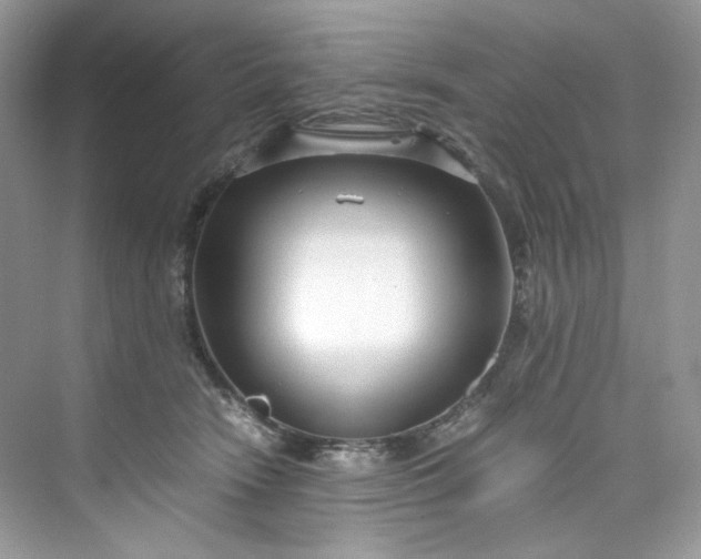 X0000075840466200609291442