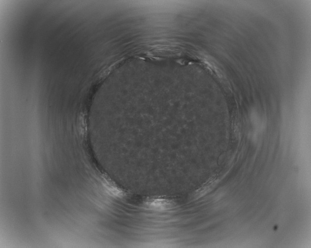 X0000075840467200609291442