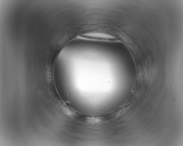 X0000075840469200609291442