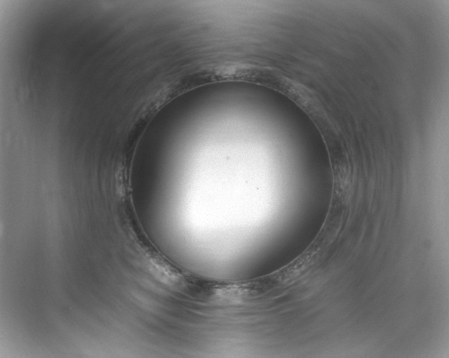 X0000075840470200609291442