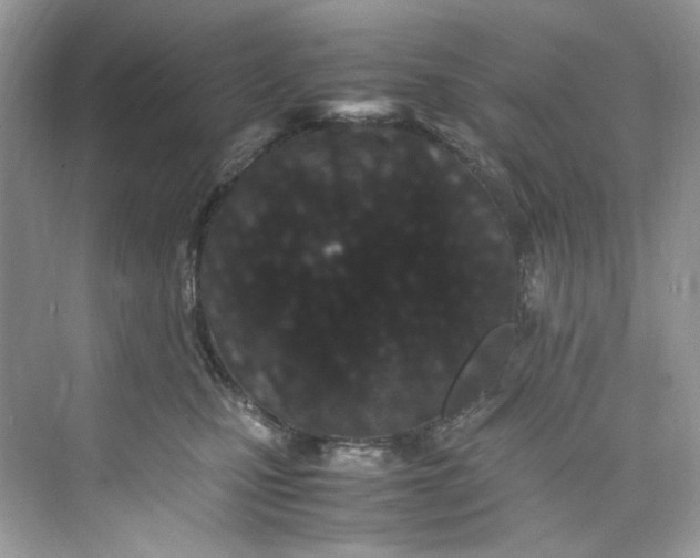 X0000075840471200609291442