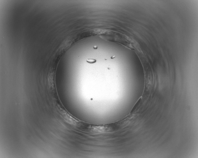 X0000075840473200609291442