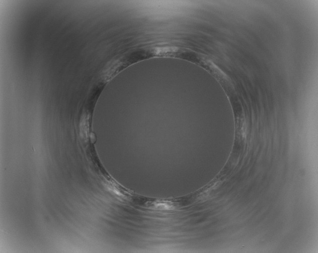 X0000075840475200609291442