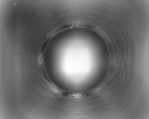 X0000075840478200609291442