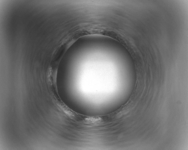 X0000075840480200609291442